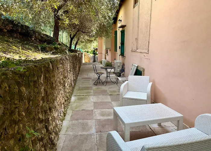 Tatil Evi Leaves